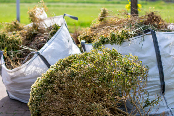 Shed Removal in Grayson, CA